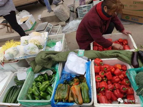 趕黃河大集，尋濟南年味——萊蕪魯西大集值得一逛