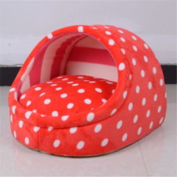 當陽光射進陰霾 蘑菇街優店與寵物日用品的情感聯結